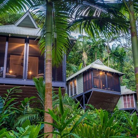 Daintree Ecolodge Eksteriør bilde