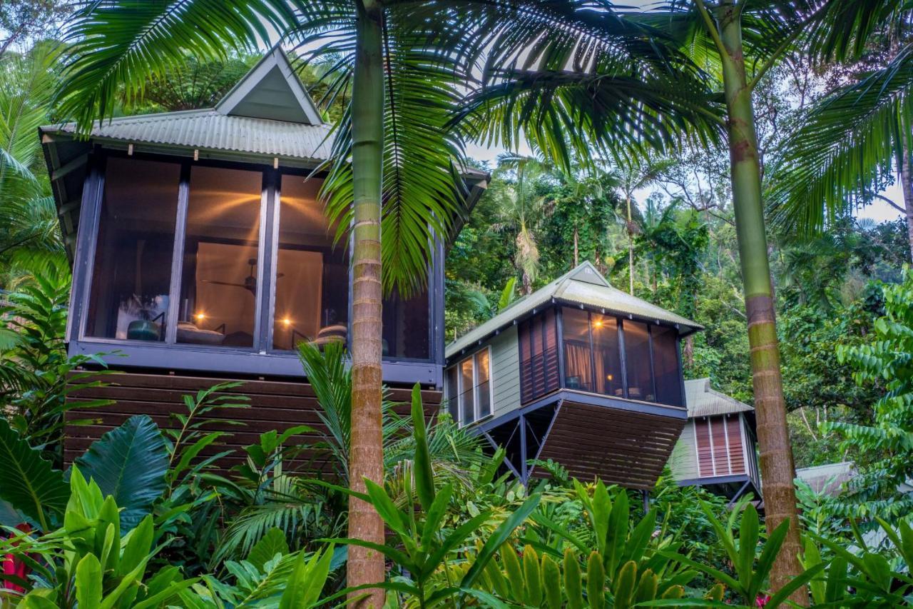 Daintree Ecolodge Eksteriør bilde