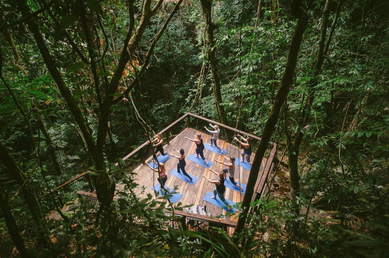 Daintree Ecolodge Eksteriør bilde