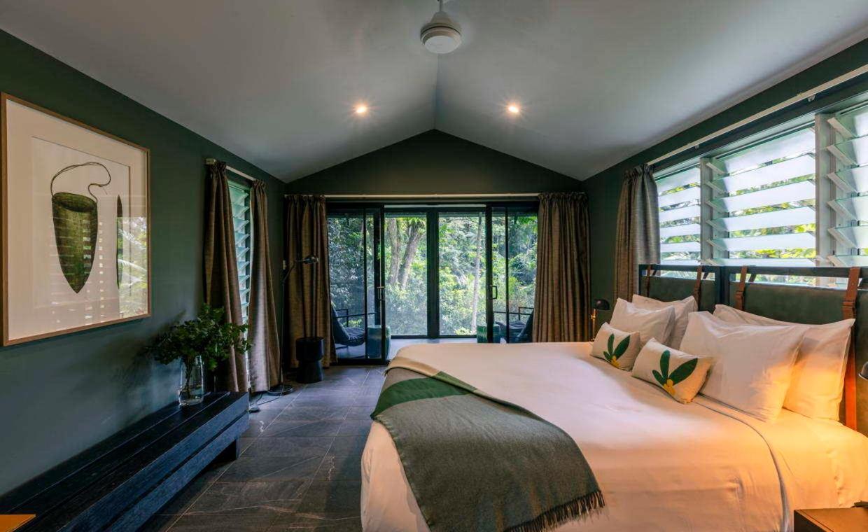 Daintree Ecolodge Eksteriør bilde