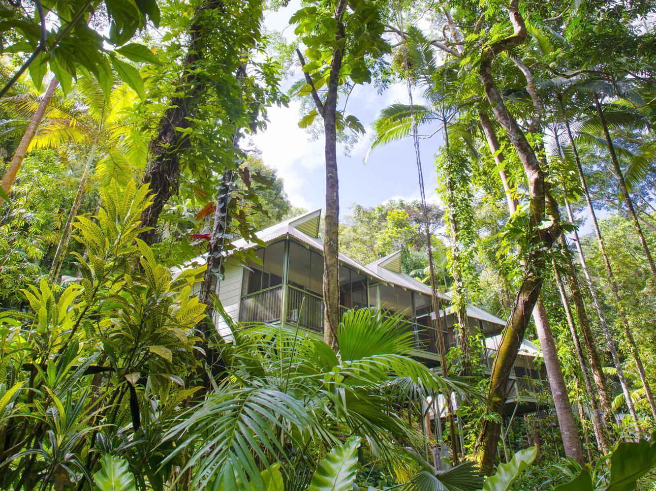 Daintree Ecolodge Eksteriør bilde