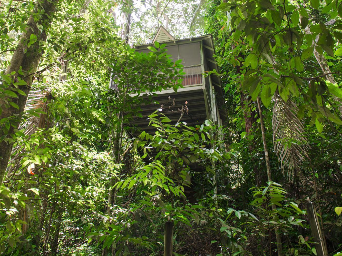 Daintree Ecolodge Eksteriør bilde