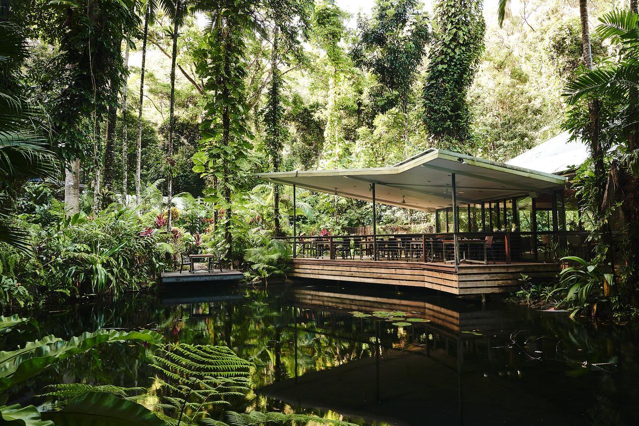 Daintree Ecolodge Eksteriør bilde