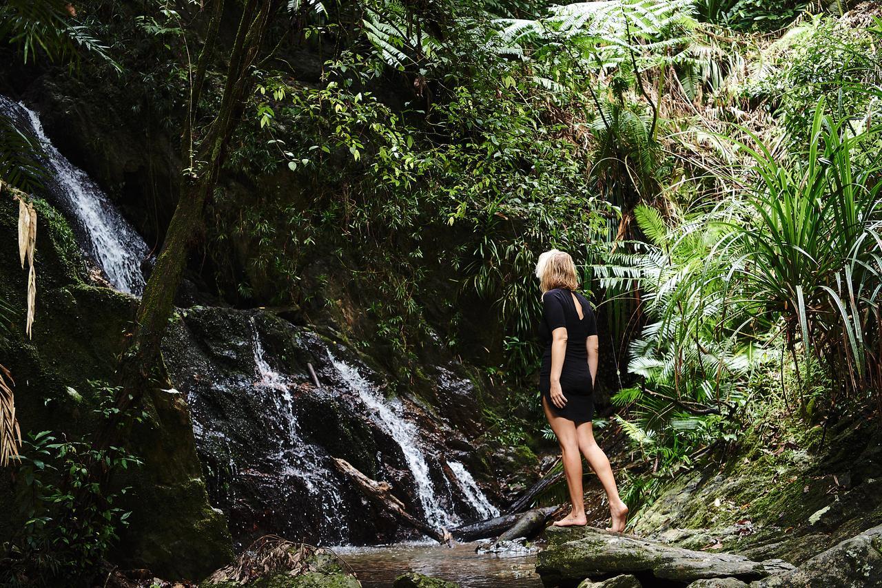 Daintree Ecolodge Eksteriør bilde