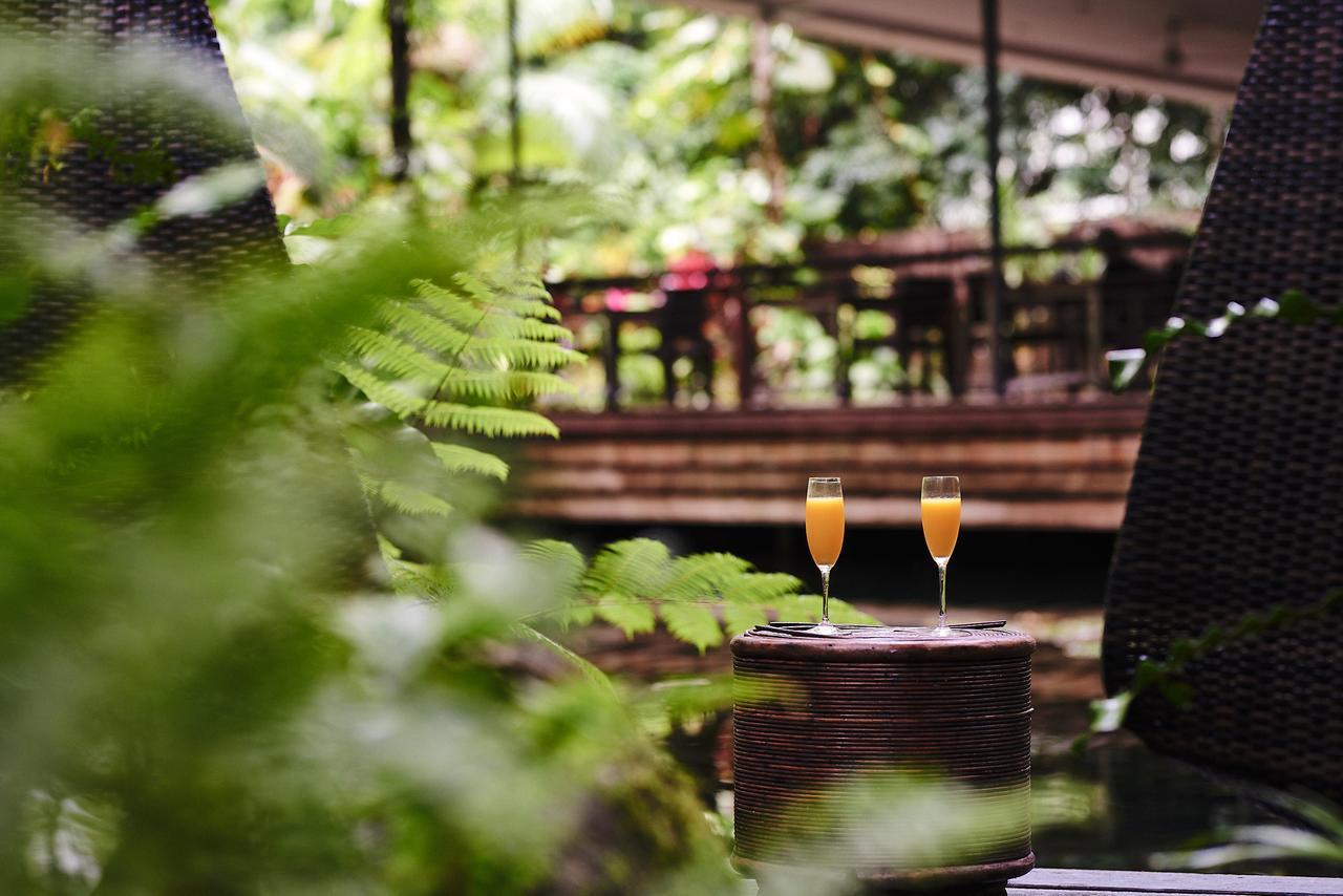 Daintree Ecolodge Eksteriør bilde
