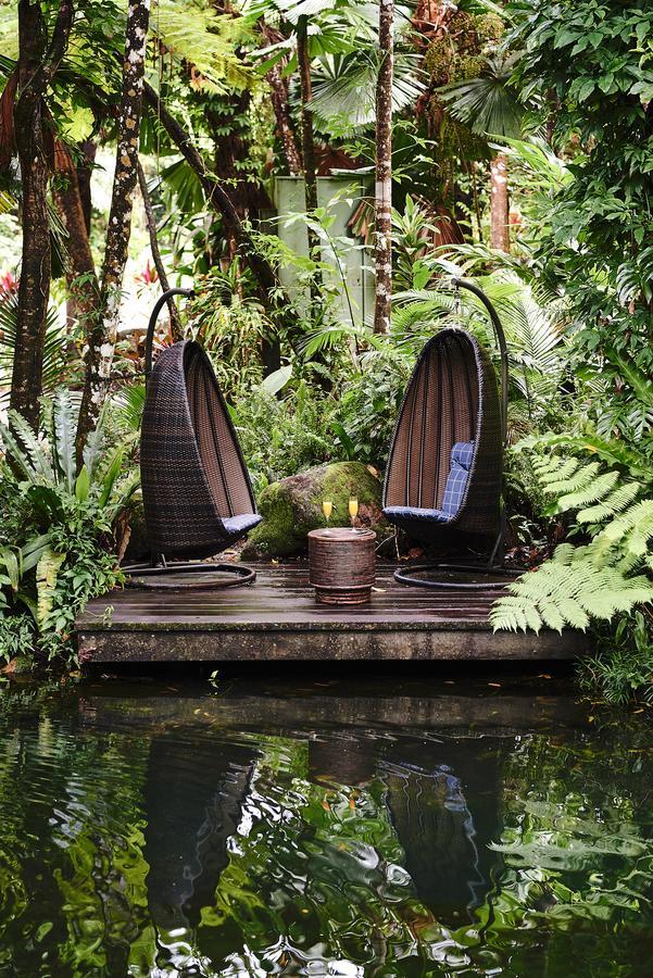 Daintree Ecolodge Eksteriør bilde