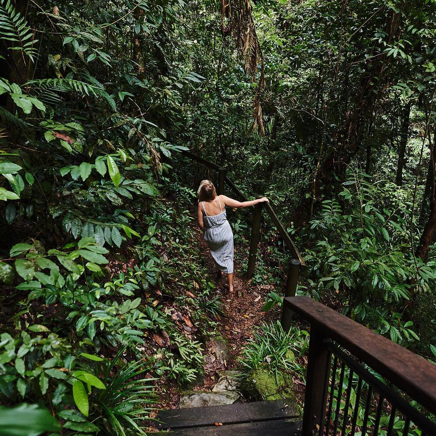 Daintree Ecolodge Eksteriør bilde