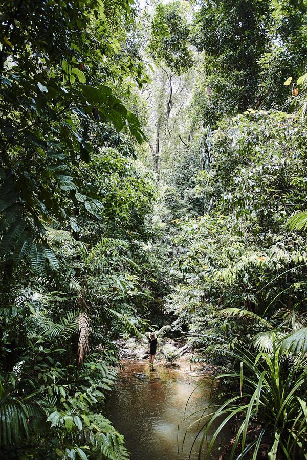 Daintree Ecolodge Eksteriør bilde