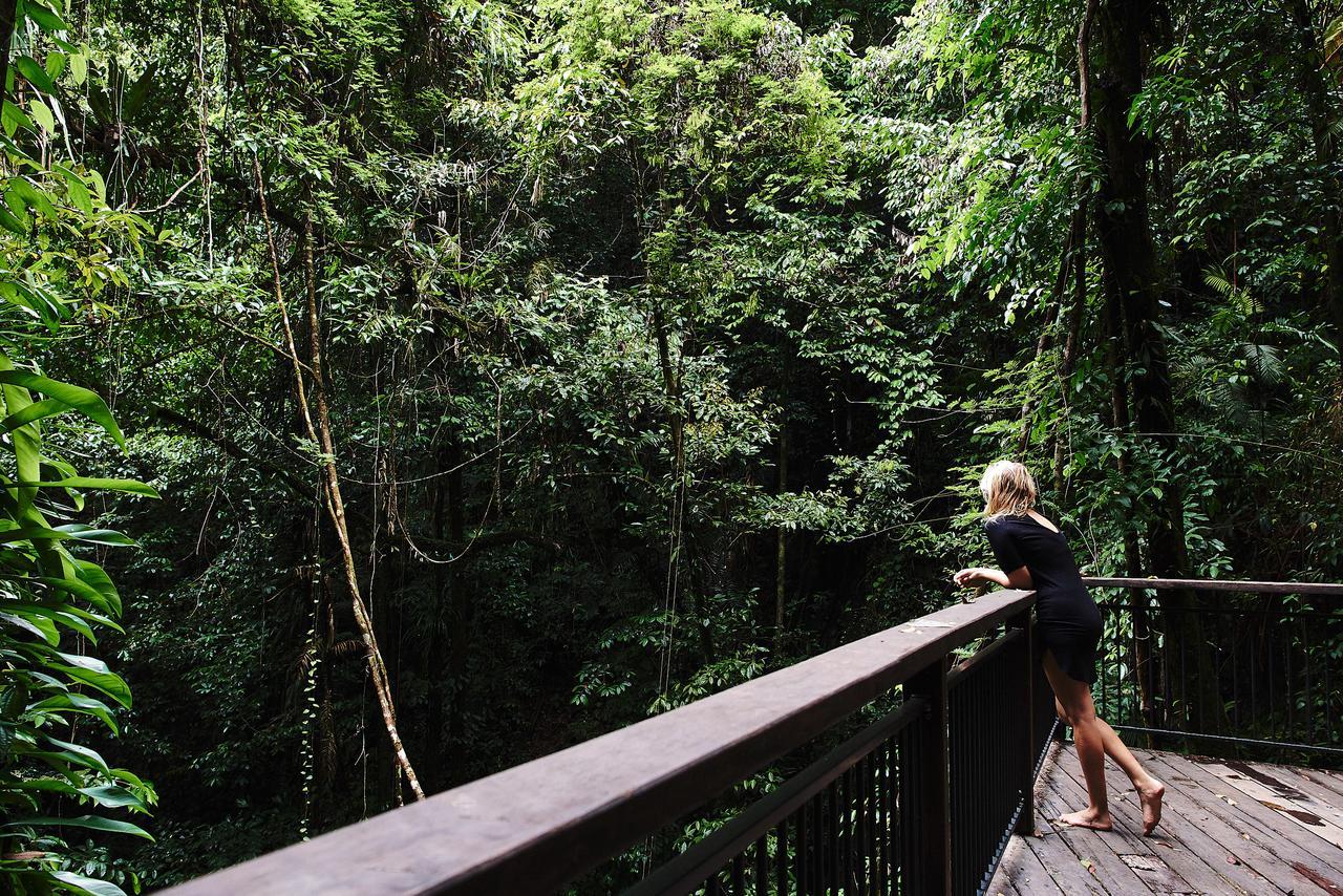 Daintree Ecolodge Eksteriør bilde