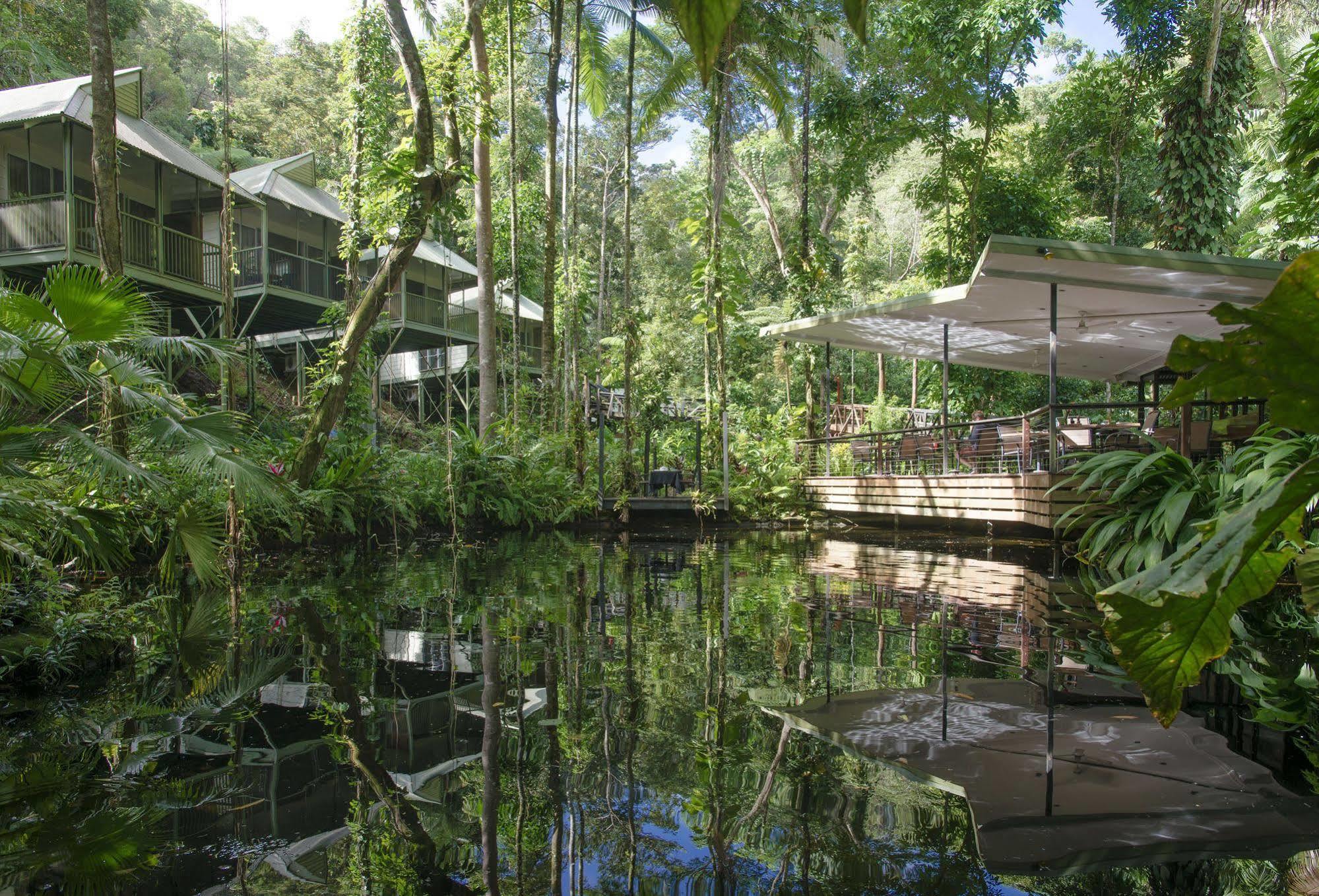 Daintree Ecolodge Eksteriør bilde