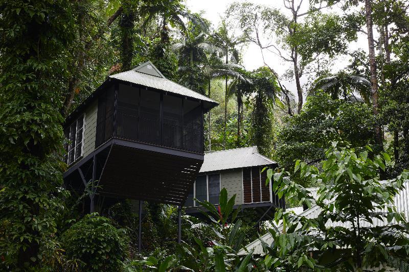 Daintree Ecolodge Eksteriør bilde