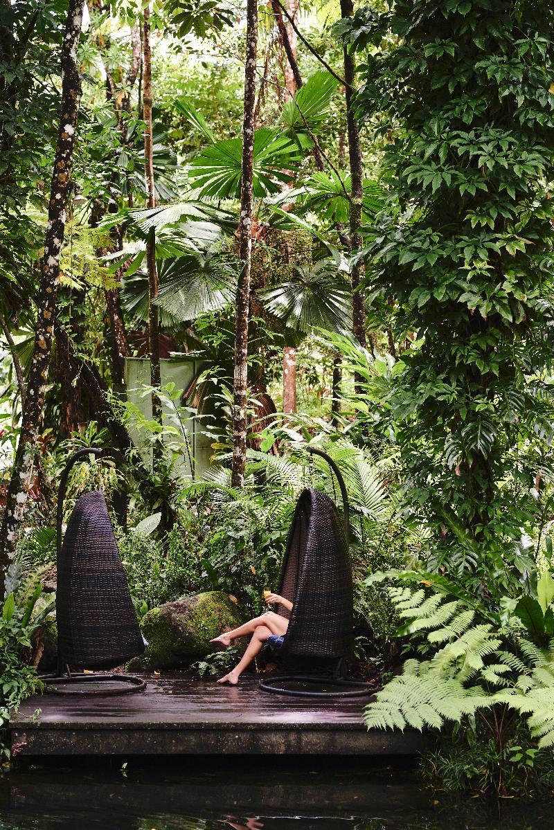 Daintree Ecolodge Eksteriør bilde