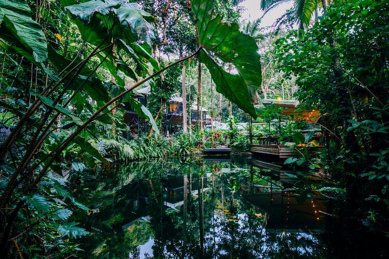 Daintree Ecolodge Eksteriør bilde