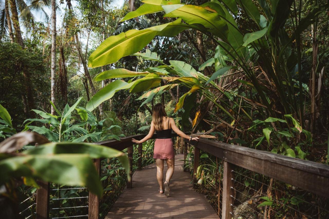 Daintree Ecolodge Eksteriør bilde