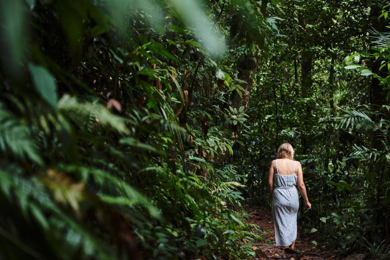 Daintree Ecolodge Eksteriør bilde